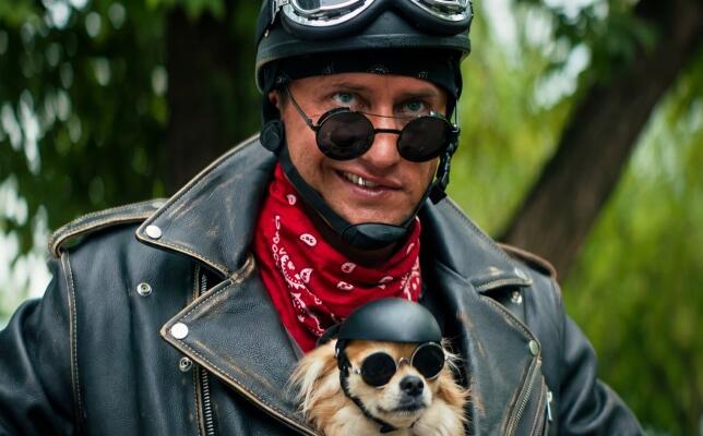 Приключения жёлтого чемоданчика