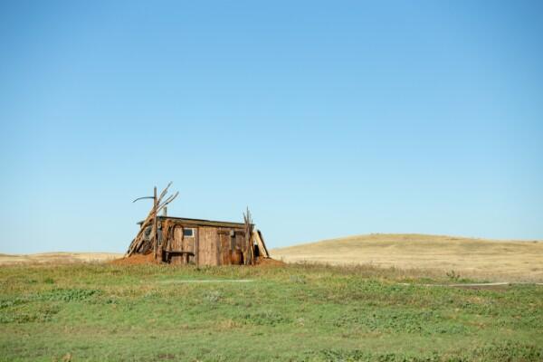 Моя собака – Космонавт