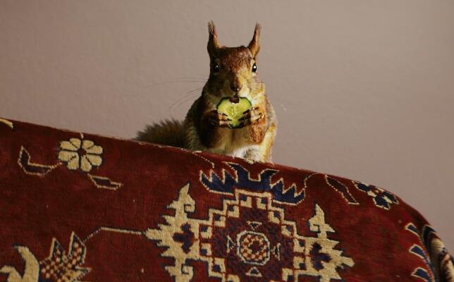 Космическая Машка