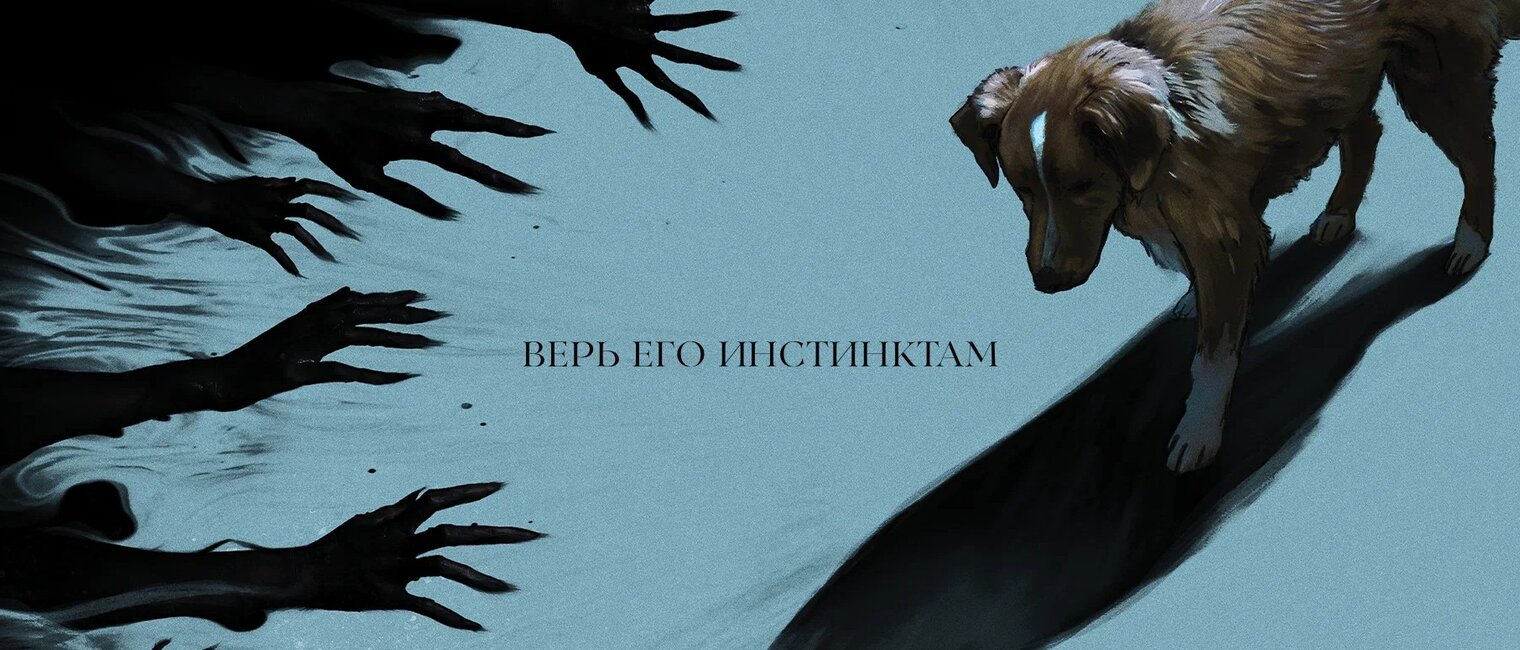 Глазами пса